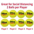 thumbnail image 3 of Wilson 2020 US Open Extra Duty Tennis Balls - 4 Ball Can | Ideal Performance on Hard, Abrasive Courts | Official Ball of the 2020 US Open | WR8204001001, 3 of 8