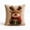 1C- Reindeer, variant on Christmas Santa 3D Throw Pillow Cover, 17.72 Inch Linen Cushion Case with Cartoon Design, Winter Holiday Decor for Sofa Bed