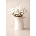 thumbnail image 2 of Stalus, Judy 11x14 White Modern Wood Framed Museum Art Print Titled - Jug of Daisies, 2 of 4