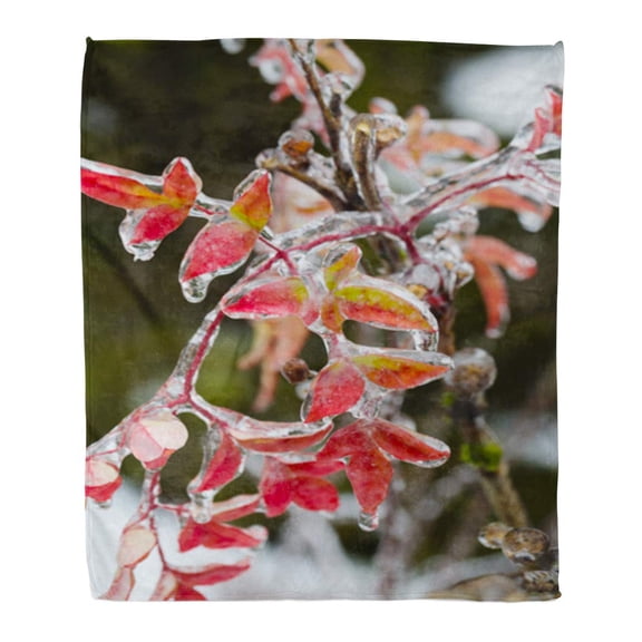 SIDONKU Flannel Throw Blanket Frozen Plants Covered in Thick Layer of Ice After Soft for Bed Sofa and Couch 58x80 Inches