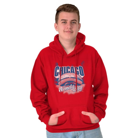 Chicago Cloud Gate Windy City Pride Unisex Plus Fleece Graphic Hoodie Brisco Brands 2X
