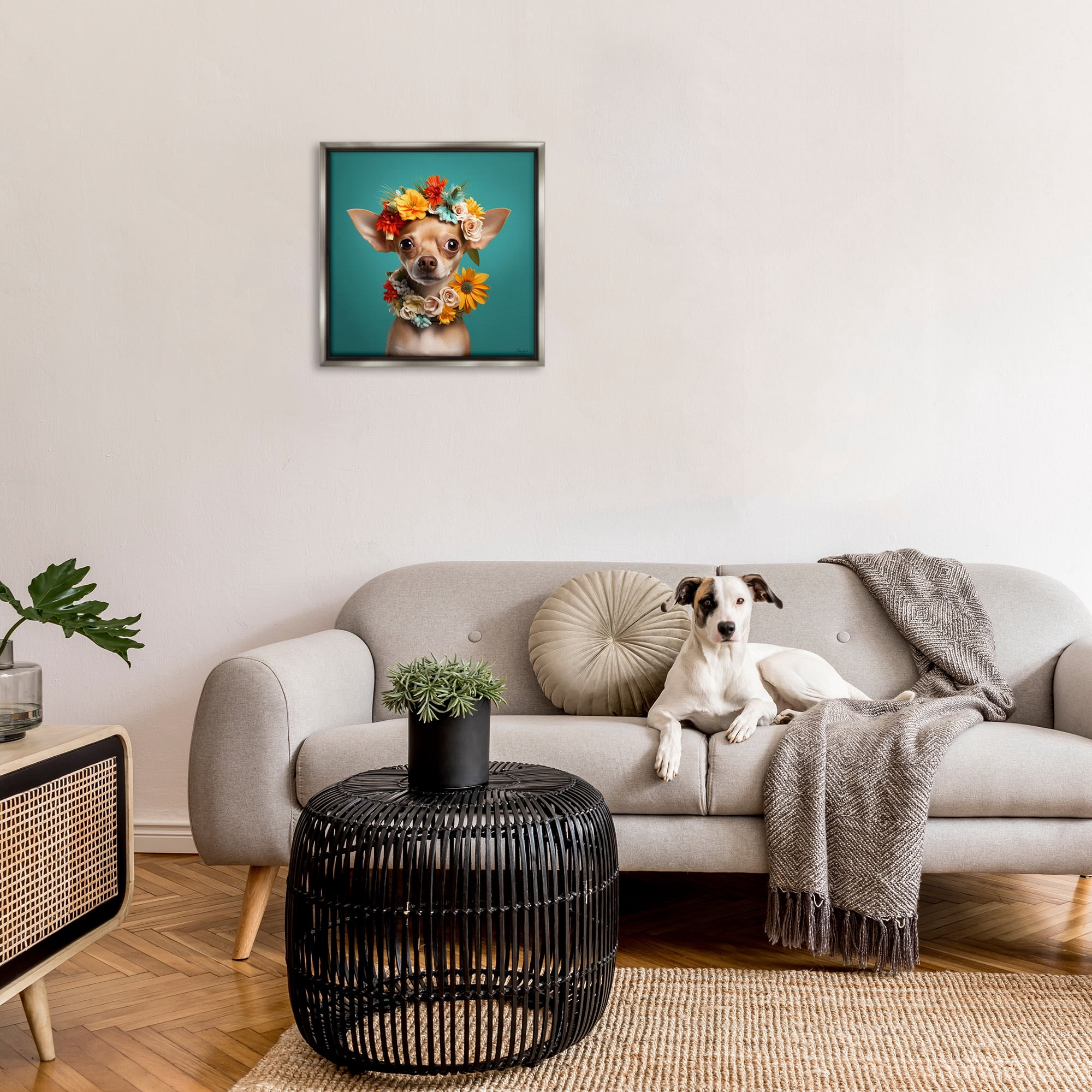 Stupell Industries Floral Chihuahua Portrait Animals & Insects Painting Gray Floater Framed Canvas Art Print Wall Art, 25 x 25