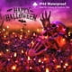 thumbnail image 4 of Luces de Halloween ODEETRONIC, color morado y naranja, 6,6 m, 100 bombillas, 4 of 7
