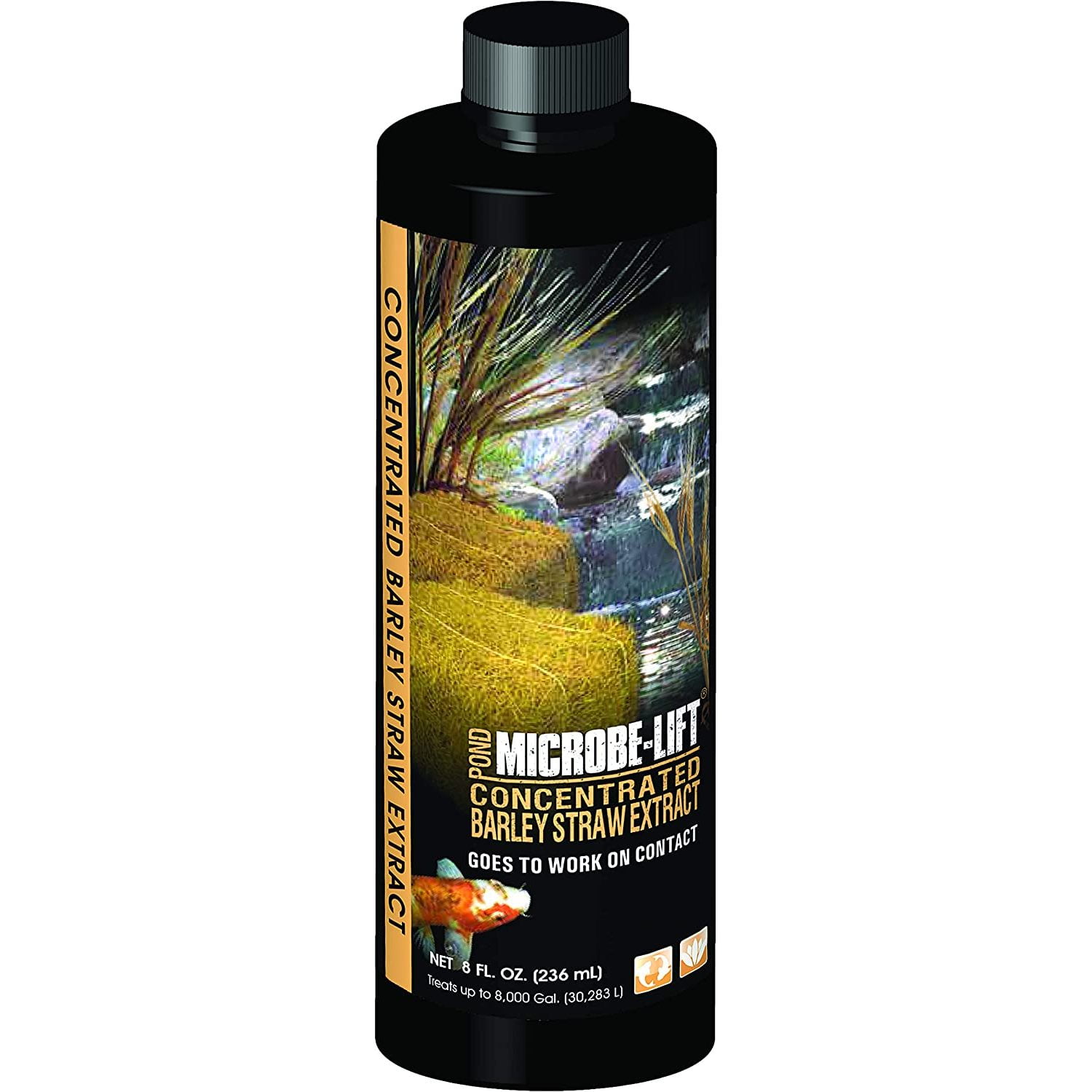 CintBllTer MLCBSE250 Concentrated Barley Straw Extract Conditioner for