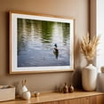 thumbnail image 5 of Duck & Ripples - Baltimore Maryland Photography Unframed Wall Art Print 5 x 7 inches, 5 of 7