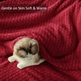 thumbnail image 6 of Exclusivo Mezcla Twin Size Flannel Fleece Blanket, Super Soft Jacquard Bed Blanket, Lightweight Fuzzy Warm for All Seasons, 60x80 Inches, Deep Red, 6 of 8