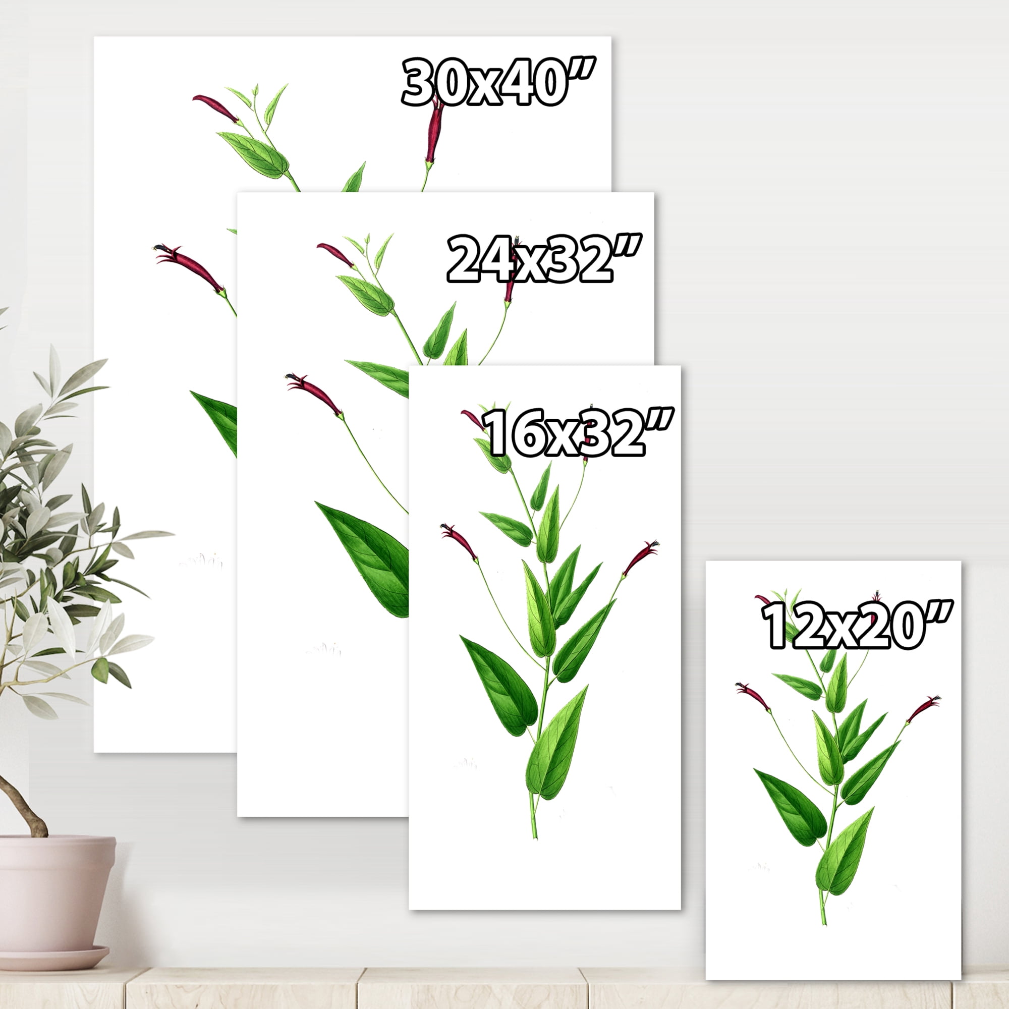 Designart ' Ancient London Plants VII ' Traditional Canvas Wall Art Print