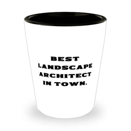 Special Landscape Architect Shot Glass, Best Landscape Architect in Town, Useful Gifts for Coworkers, Christmas Gifts