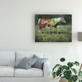 thumbnail image 3 of Trademark Fine Art 'Field of Dreams Horses' Canvas Art by Jack Sorenson, 3 of 4