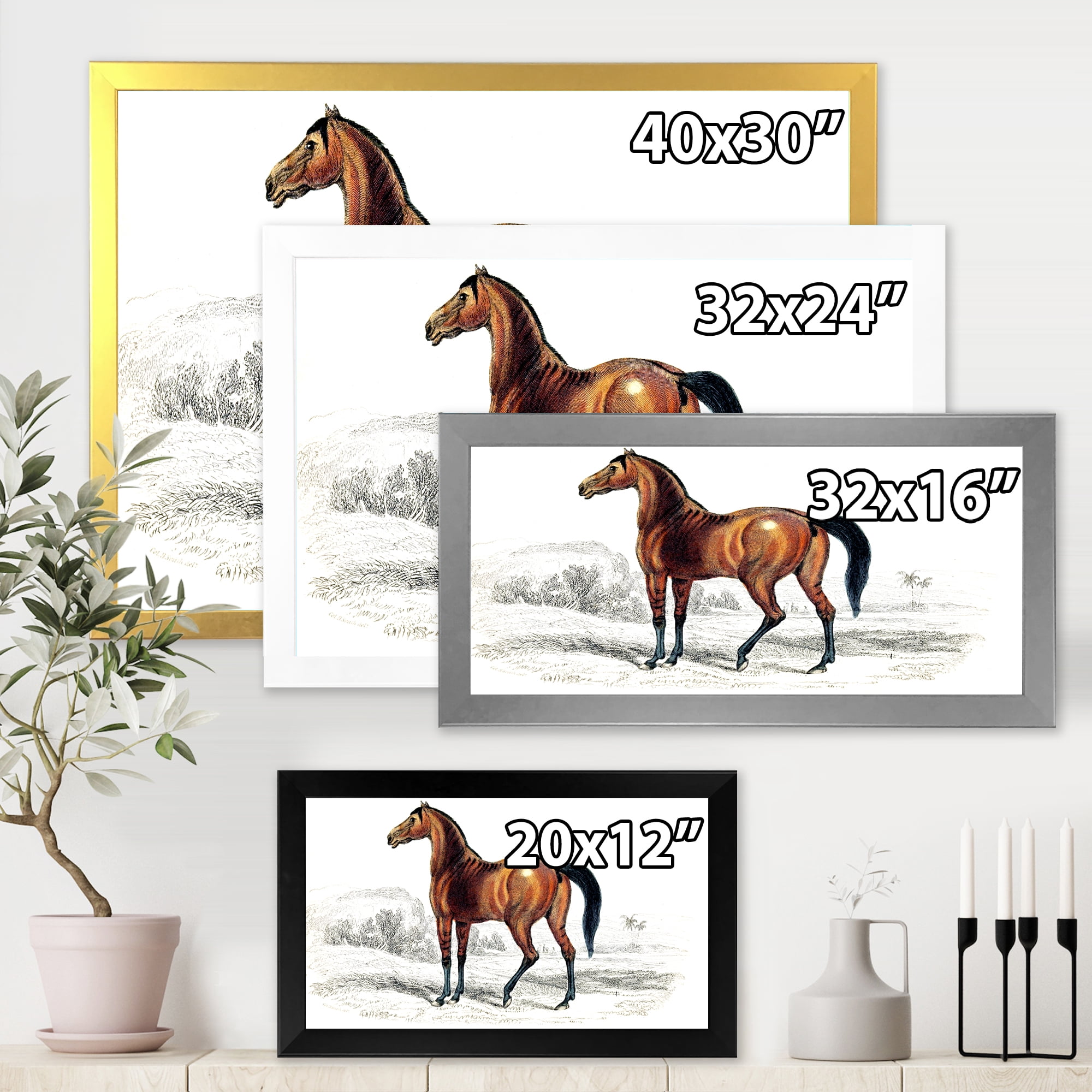 Designart 'Ancient Horse' Farmhouse Framed Art Print