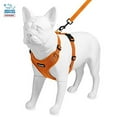 thumbnail image 4 of Voyager Step-in Lock Dog Harness w\ Reflective Dog Leash Combo Set with Neoprene Handle 5ft - Supports Small, Medium and Large Breed Puppies/Cats by Best Pet Supplies - Orange, XL, 4 of 5
