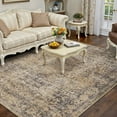 thumbnail image 6 of BERTHMEER Area Rugs 3'x5' for Bathroom Bedroom Kitchen Entryway Rugs Non Slip Washable Vintage Brown Carpets Oriental Dorm Office Entrance Traditional Distressed Throw Rugs, 6 of 7