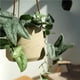 thumbnail image 4 of Macetero colgante de pared, cesta colgante pequeña for plantas, macetero colgante for balcón, macetero colgante for orquídeas, 4 of 8