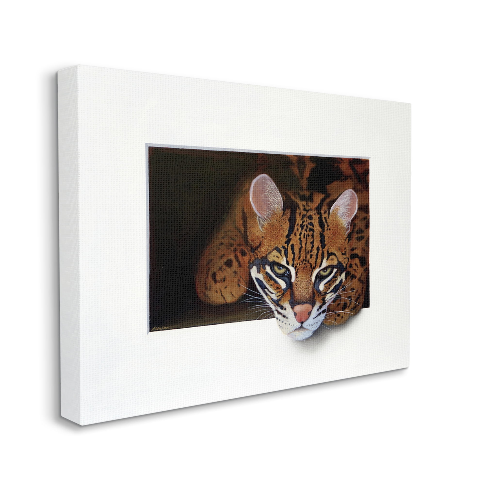 Stupell Industries Menacing Cheetah Glaring Jungle Cat Obscure Painting Painting Gallery Wrapped Canvas Print Wall Art, Design by Alan Weston