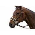 thumbnail image 5 of Challenger Horse Adjustable Leather Bitless Bridle Training Hackamore 35H15, 5 of 5