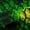Green Yellow, variant on Castle Fairy Snake Print Black Out Curtains,Gradient Curtains Pack of 2 (42x63 Each)