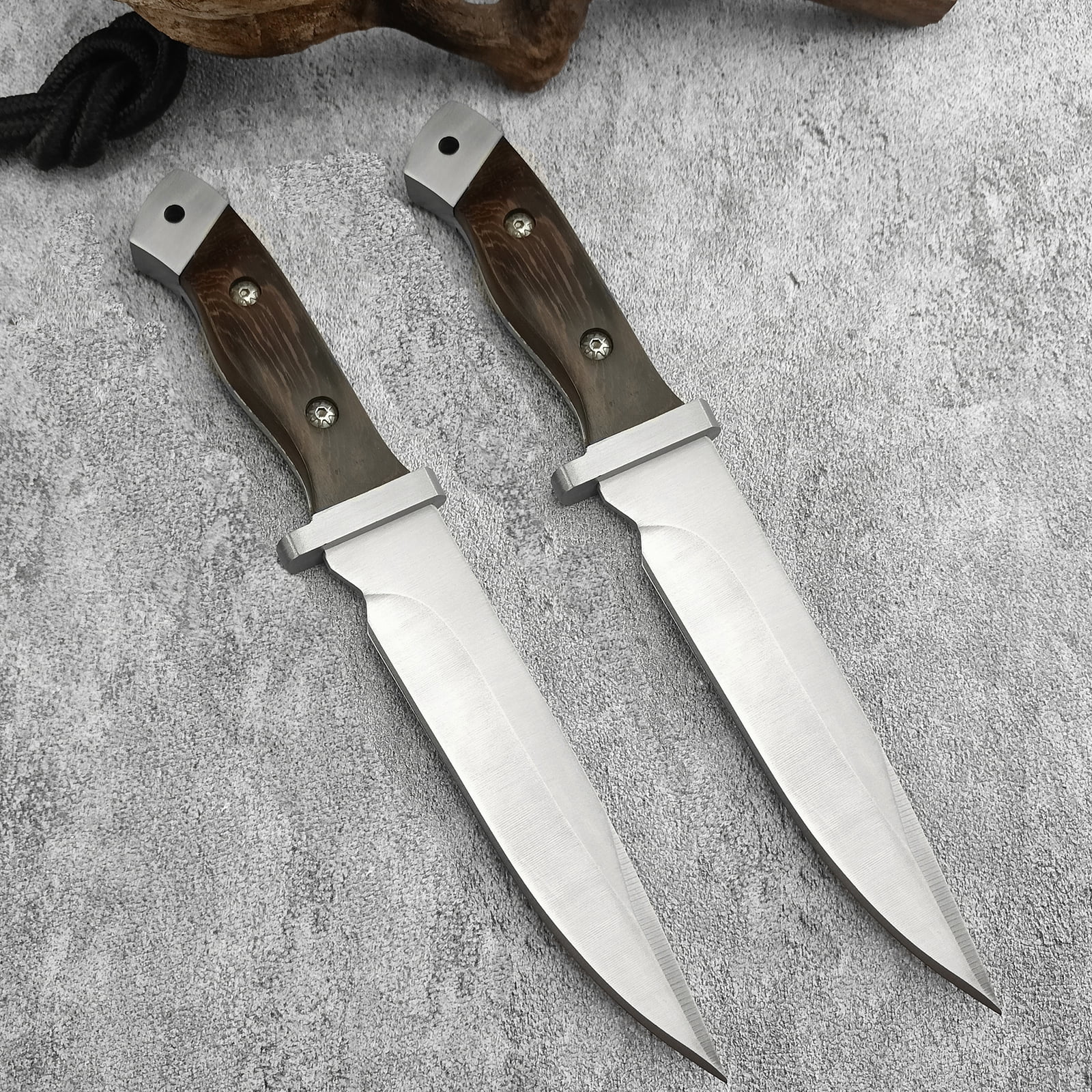 10 inch Bowie Knife with Leather Sheath, Full Tang Fixed Blade for Camping, Hiking, Outdoor Activities and Wilderness Survival