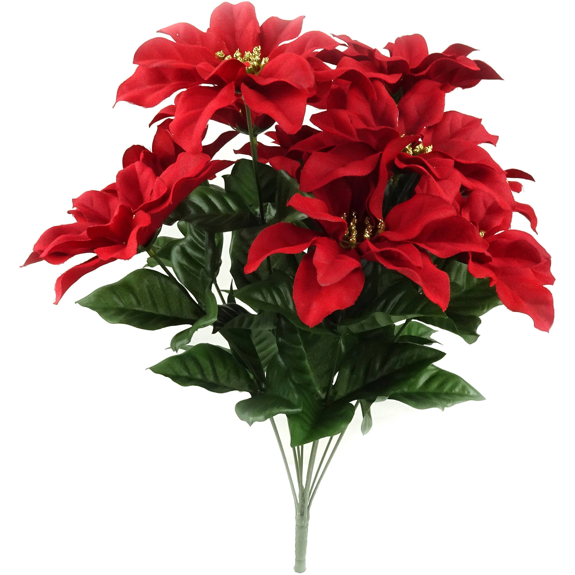 Red Poinsettia Bush - Walmart.com