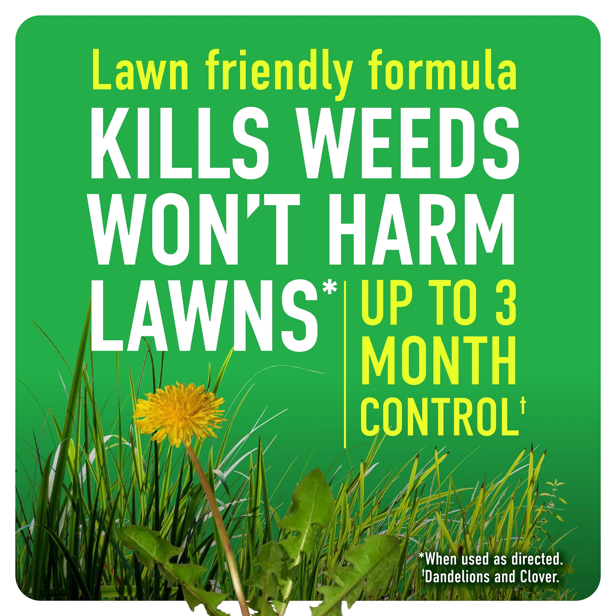 Roundup For Lawns₁ Ready-to-Use with Extend Wand, Tough Weed Killer for Use on Northern Grasses, 1 gal.