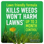 Roundup For Lawns₁ Ready-To-Use with Extend Wand, Tough Weed Killer for Use on Northern Grasses, 1 gal.
