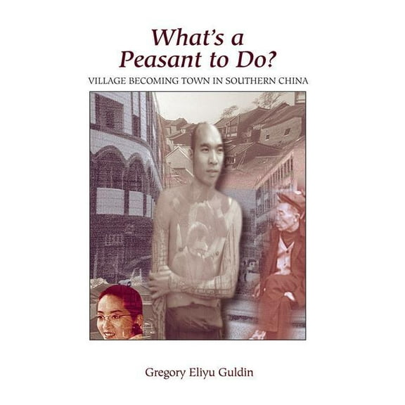What's A Peasant To Do? Village Becoming Town In Southern China, (Paperback)