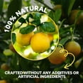 thumbnail image 6 of OrientLeaf Pure Lemon Essential Oil for Skin Hair Diffuser Massage, 4 fl Oz, Gifts for Women, 6 of 10