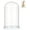 White, variant on Glass Display Cloche Dome Decorative Glass Dome Cover Clear Bell Jar Display Case with Black Wood Base for Collectibles Rose Office Home Tabletop Centerpiece Decor 5.91×10.04 Inch