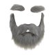 thumbnail image 1 of Conjunto cejas y barba postizas, accesorios disfraz DIY para adultos, facial postizo., 1 of 9