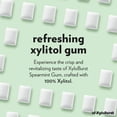thumbnail image 2 of XyloBurst Gum | Xylitol Chewing Gum | Sugar Free, Gluten Free, Keto Friendly | Aspartame Free Gum For Oral Health | Spearmint | 500-Count Bag, 2 of 6