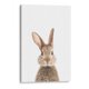 thumbnail image 1 of Cuadro decorativo infantil - Bunny Front en canvas tamaño 100 x 150 cm Canvas Lab Canvas forma vertical tamaño 100 x 150, 1 of 2