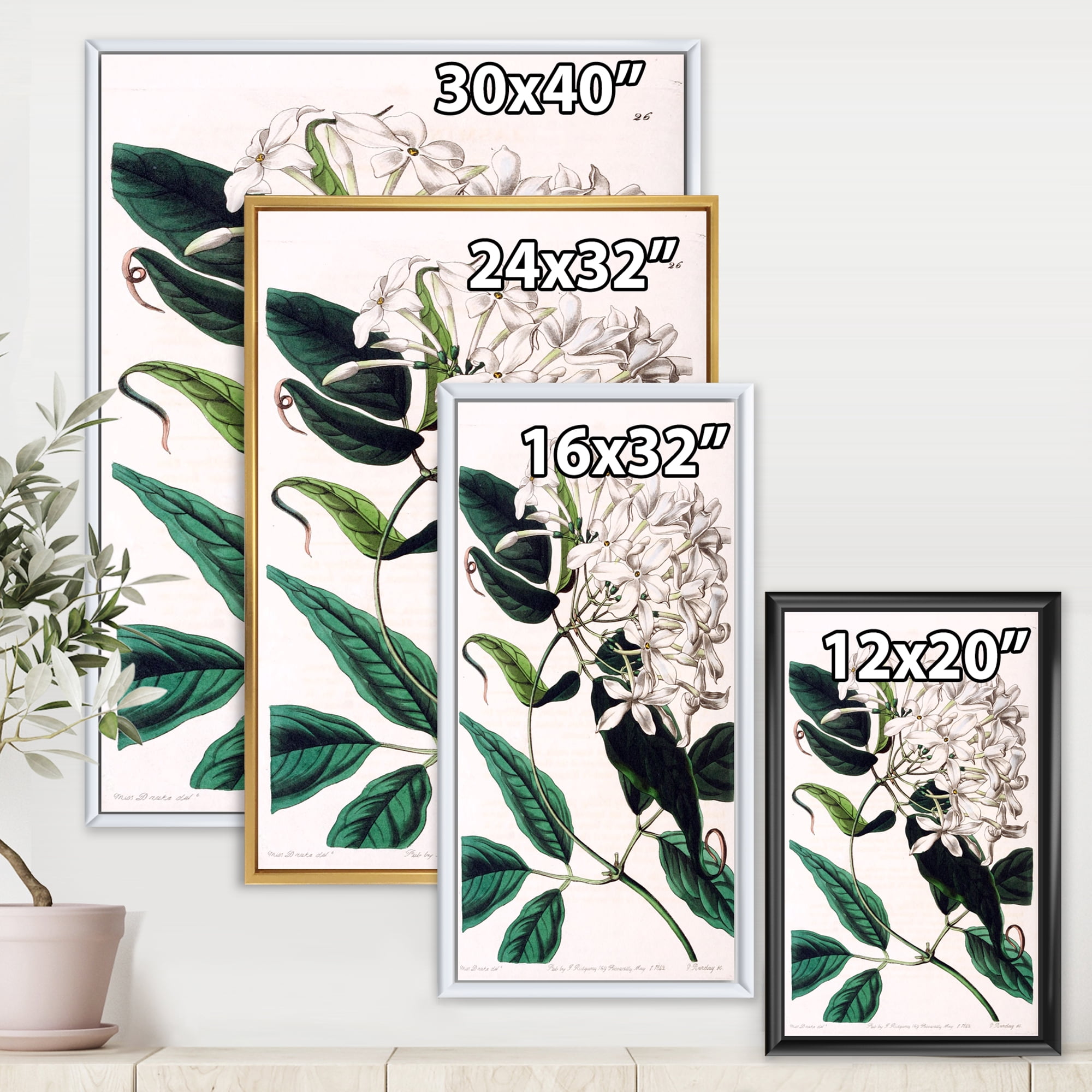 Designart 'Ancient Plant Life XXIV' Traditional Framed Canvas Wall Art Print
