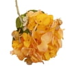 thumbnail image 1 of Hydrangea Dried Flower Green for Home and Decoration, 1 of 3