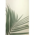 thumbnail image 2 of Rigsby, Jennifer 17x24 White Modern Wood Framed Museum Art Print Titled - Golden Hour Palm, 2 of 4