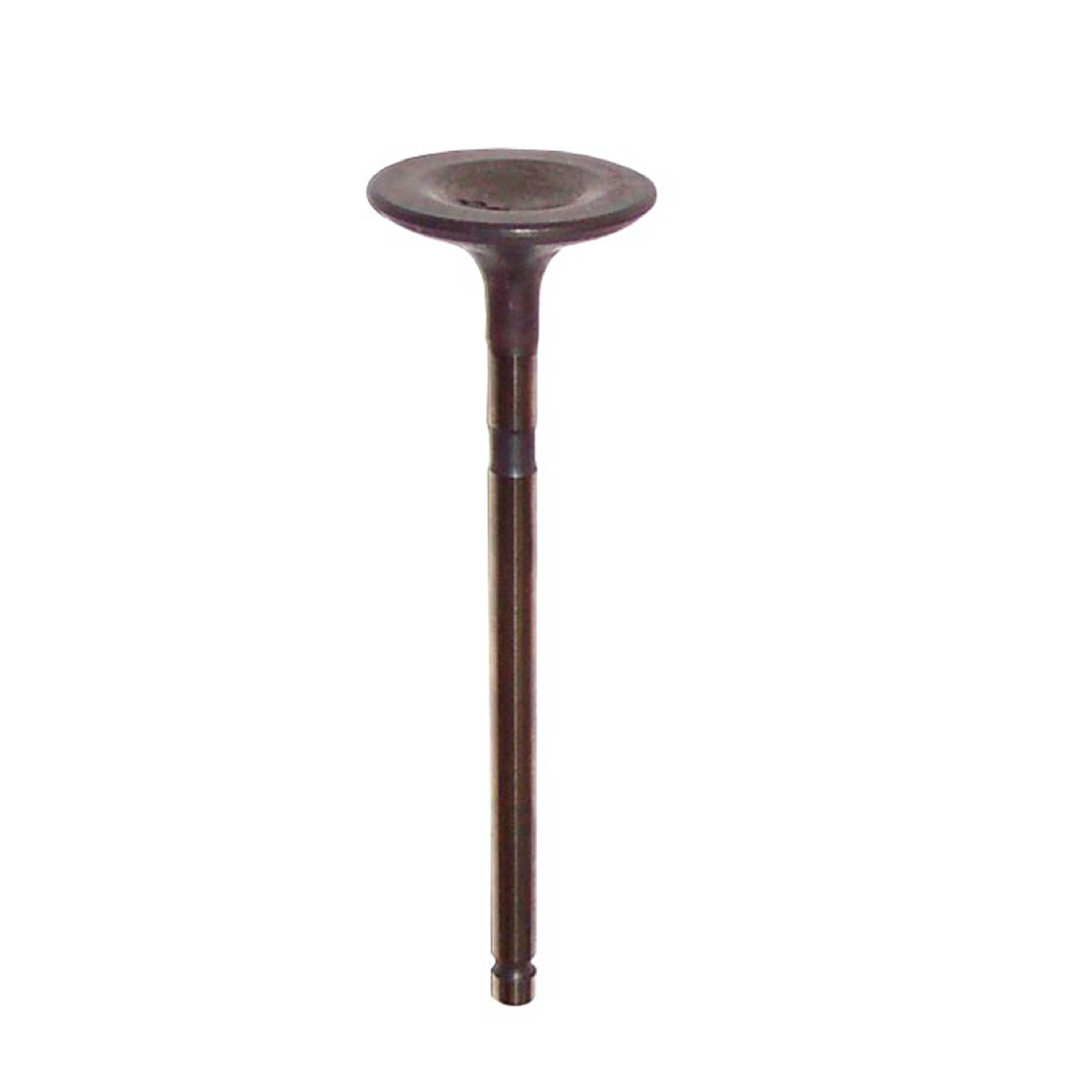 DNJ IV162 Intake Valve Fits Cars & Trucks 04-12 Mitsubishi Eclipse Galant 2.4L L4 SOHC 16v