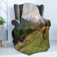 thumbnail image 4 of Farm Animal Soft Flannel Fleece Throw Blanket, Nature Landscape with Cows Grazing in Meadow at Sunrise Photo, Cozy Plush for Indoor and Outdoor Use, 50" x 60", Multicolor, by Ambesonne, 4 of 5