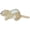 Brown Chipmunk, variant on Tuffy® - Mighty® Jr Raccoon Dog Toy Ultra Durable Plush with Multiple Layers & Multiple Seams