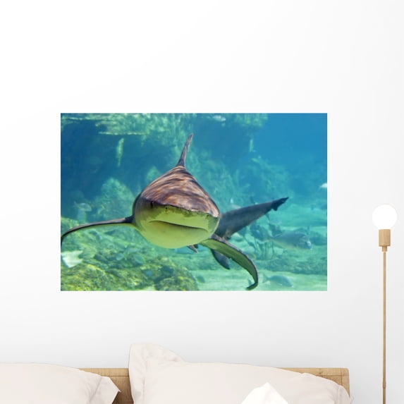 Approaching Shark Wall Mural by Wallmonkeys Peel and Stick Graphic (24 in W x 16 in H) WM92645