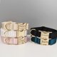 thumbnail image 2 of Typpkmm Personalized Dog Collar with Leash Set Custom，Custom Logo, 2 of 7