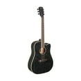 thumbnail image 1 of JN Guitar Yakisugi Cutaway Acoustic-Electric Dreadnought Guitar - YAK-DCFI, 1 of 4