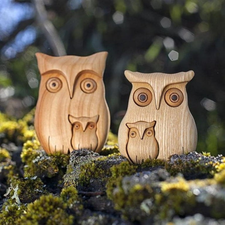 Painted Wood Shape - Owl – Northwest Crafts and Decor LLC