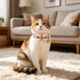 thumbnail image 4 of Ainf Adjustable Collars For Small Medium Large Cats Soft Breathable Nylon Reflective Training Collar With Quick Release Buckle Comfortable Walk Control, 4 of 6