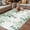Green White, variant on Blue Green Eucalyptus Leaves Outdoor Rug for Patio/Deck/Porch, Non-Slip Large Area Rug 4 x 6 Ft, Spring Summer Botanical Indoor Outdoor Rugs Washable Area Rugs, Reversible Camping Rug Carpet Runner