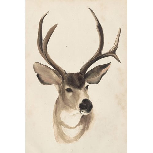 Marmont Hill "Animal Study II" Painting Print on Wrapped Canvas