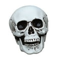thumbnail image 5 of TABLZONE White Plastic Model Skeleton Decoration for Party Home Set, 5 of 7