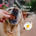 thumbnail image 2 of Shameless Pets Chick'n Colada Upcycled Chicken & Bananas Jerky Dog Treats, 2 of 11