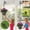 B, variant on Plant Pulley Set Garden Baskets Pots Bird Feeder Telescopic Lift Adjustable Hanging Hook Gardening Supplies Heavy Duty Metal for Birdcage Flower Pot(A)