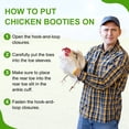 thumbnail image 4 of Uxcell 1-Par de Zapatos para Pollos, Botas Antideslizantes de Malla para Pies de Gallinas/Gallo para Uso Interior y Exterior [Morado, Tamaño S], 4 of 6
