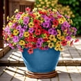 thumbnail image 1 of Flores artificiales Powbrace de seda sintética para exteriores, 14 paquetes, 1 of 7