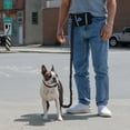 thumbnail image 2 of One Paw, Hands free Dog Leash with Neoprene Pouch and Poop Bag Dispenser, Black, 2 of 7