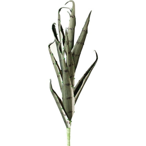 Melrose 27 Aloe Vera Succulent Artificial Plant Stem Green Walmart Com Walmart Com
